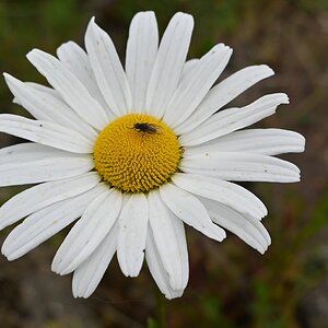 Z12-28_Test 3.jpg