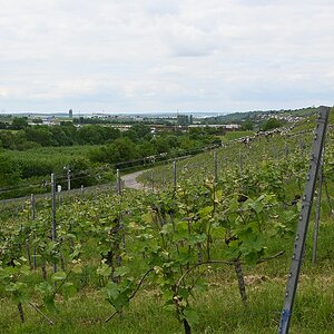 Z12-28_Test 5.jpg