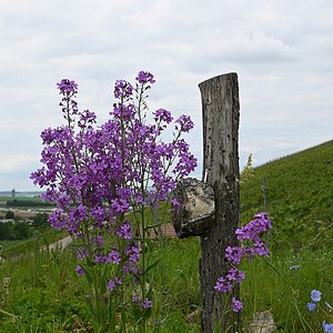 Z12-28_Test 6.jpg