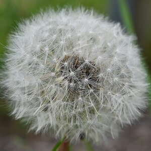 Z12-28_Test 7.jpg