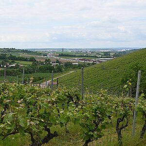 Z12-28_Test 9.jpg