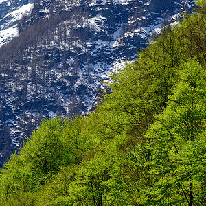 Sonogno_Z9C_5200_12.jpg