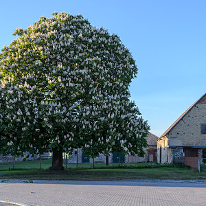 OF-32806.jpg