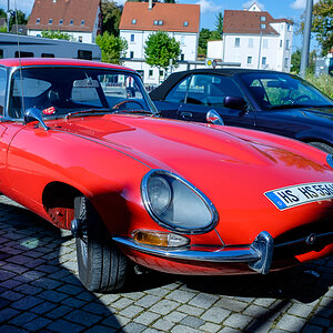 DSCF1138-1.jpg
