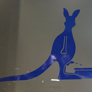 Skippy pinkelt.jpg