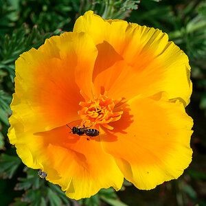 OF5_30207.jpg