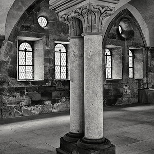 Maulbronn_2023_ZSD_4835_sw_nff.JPG