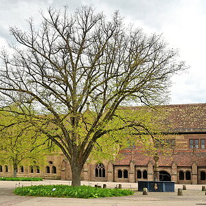 Maulbronn_2023_ZSD_4789_nff.JPG
