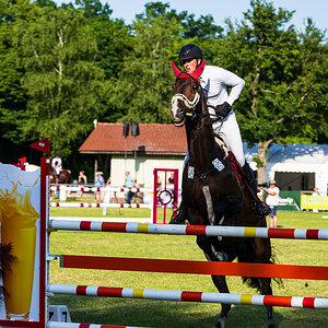 Reitturnier Pfingsten Forst-2617.jpg