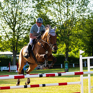 Reitturnier Pfingsten Forst-2720.jpg
