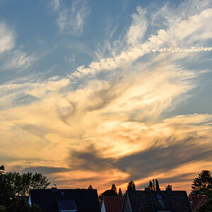 OF2_62650.jpg