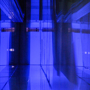 DSC06929.jpg