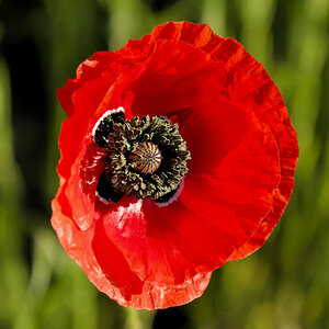 NIKON_2023_01326NF.jpg