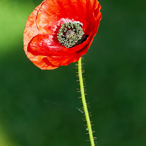 NIKON_2023_01329NF.jpg