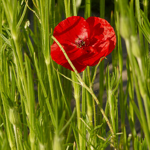 NIKON_2023_01332NF.jpg