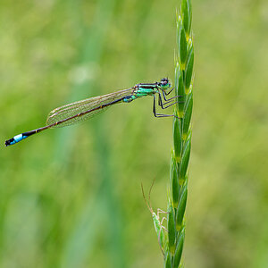 20230604-NZ6_1574.jpg