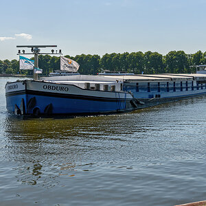 OF2_62745.jpg