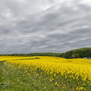 DSC_2074.jpg