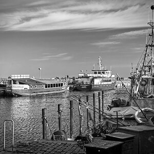 DSC_2389sw.jpg