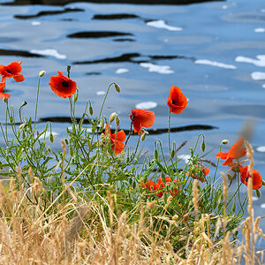 OF5_30519.jpg