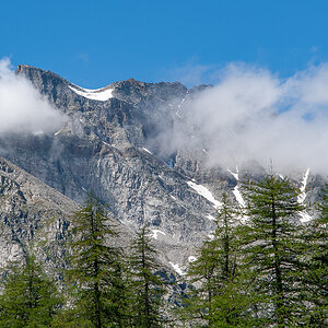 _DSC0851.jpg