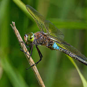 OF5_30226.jpg