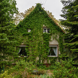 OF2_63087.jpg
