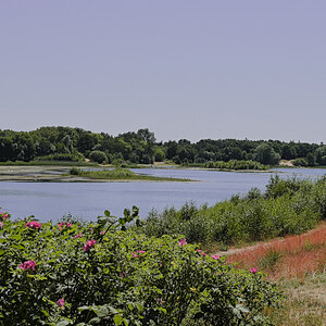 DSC_8603.jpg