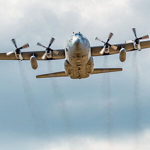 D50_4097-#.JPG