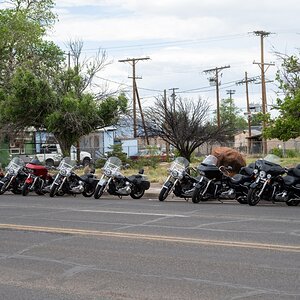 DSC_1143.jpg