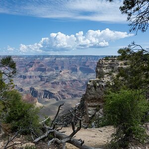 DSC_1159.jpg