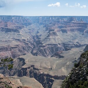 DSC_1165.jpg