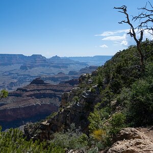 DSC_1177.jpg