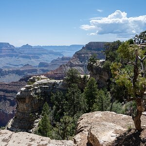 DSC_1180.jpg