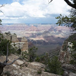 DSC_1196.jpg