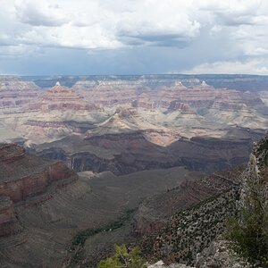 DSC_1198.jpg