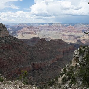 DSC_1205.jpg