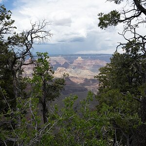DSC_1206.jpg