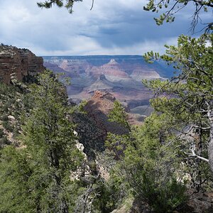 DSC_1220.jpg
