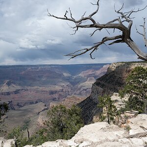 DSC_1227.jpg