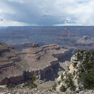 DSC_1229.jpg