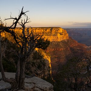 DSC_1304.jpg