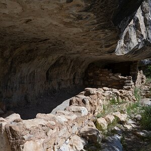 DSC_1383.jpg