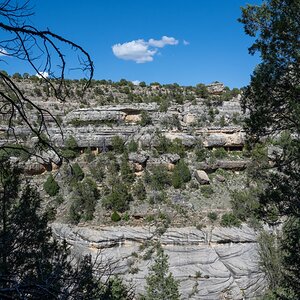 DSC_1394.jpg