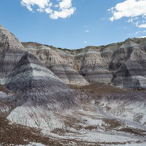 DSC_1444.jpg