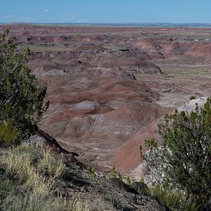 DSC_1471.jpg
