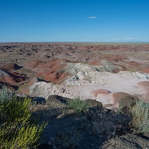 DSC_1472.jpg