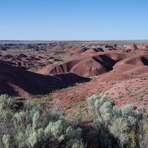 DSC_1476.jpg