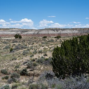 DSC_1485.jpg
