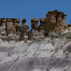 DSC_1499.jpg